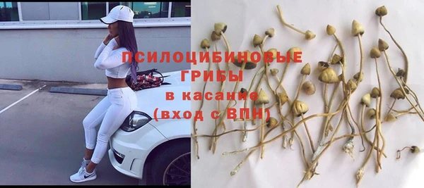 дмт Армянск