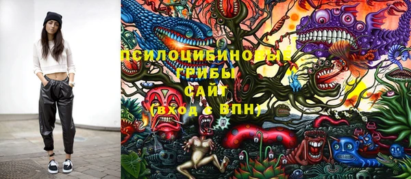 дмт Армянск