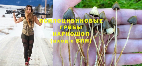 дмт Армянск
